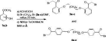 Scheme 1