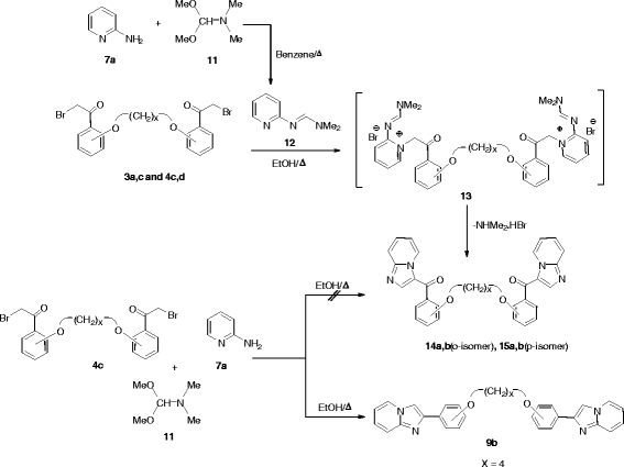 Scheme 5