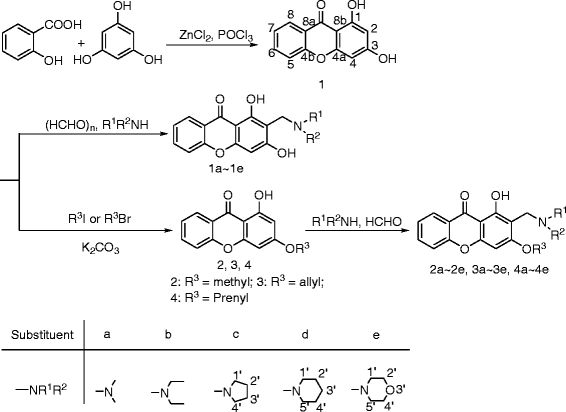 Scheme 1