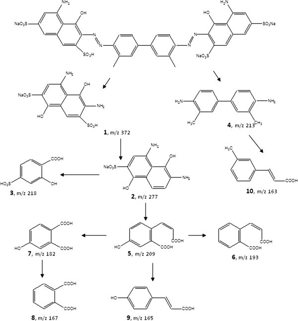 Figure 9