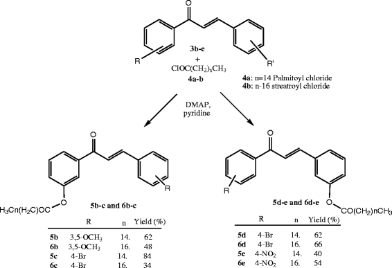 Scheme 2