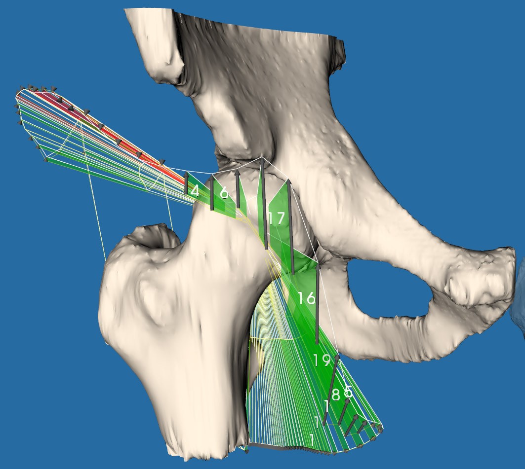 Figure 5