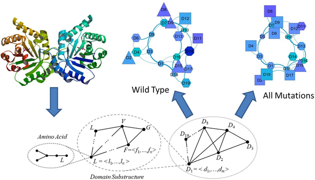 Figure 11