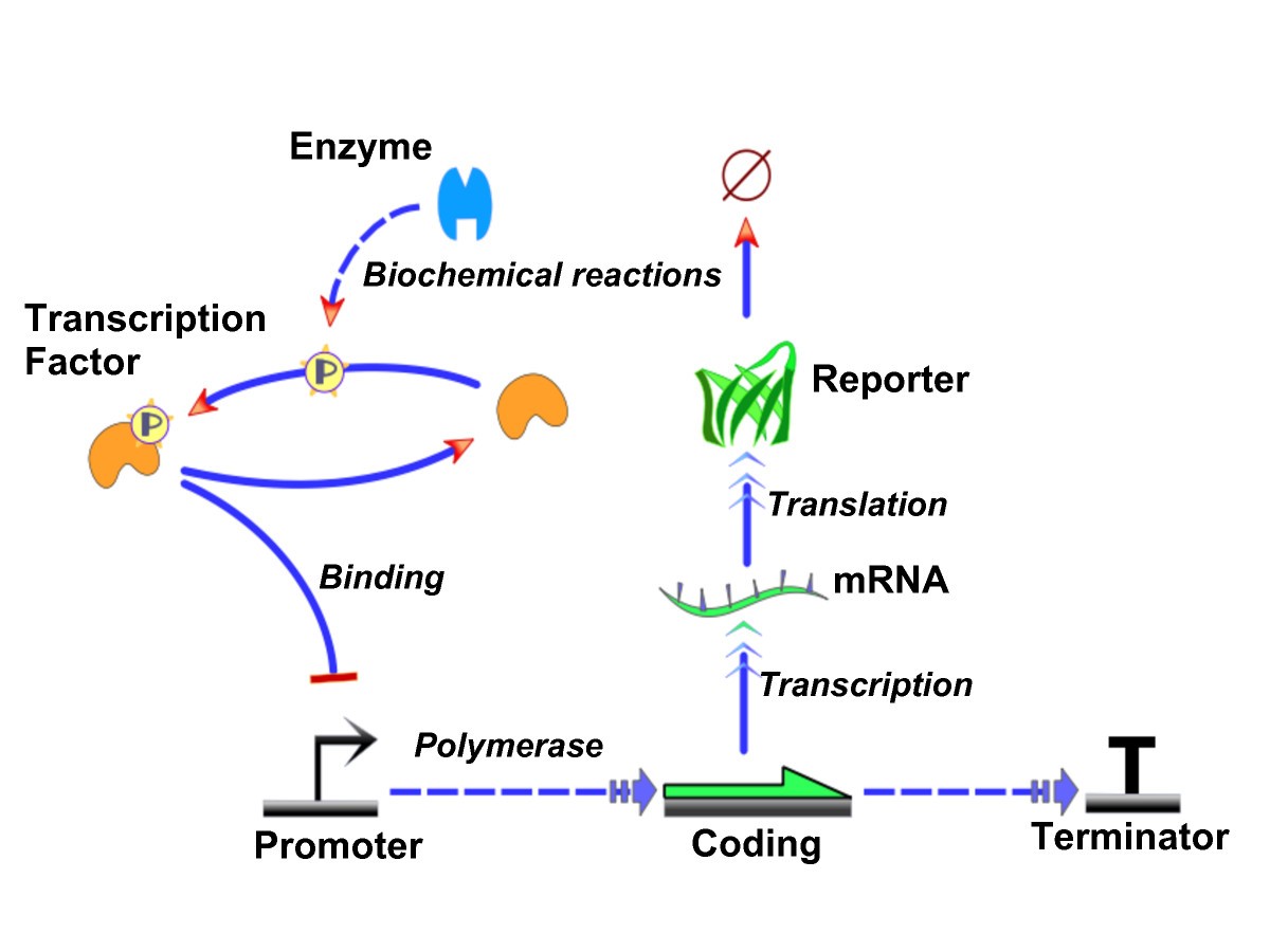 Figure 7