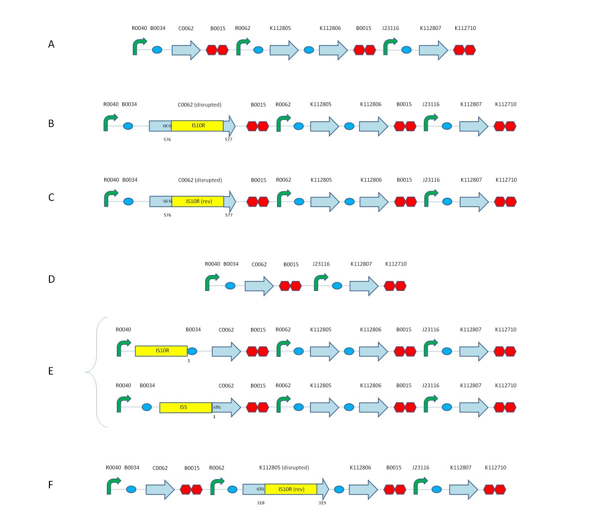 Figure 7