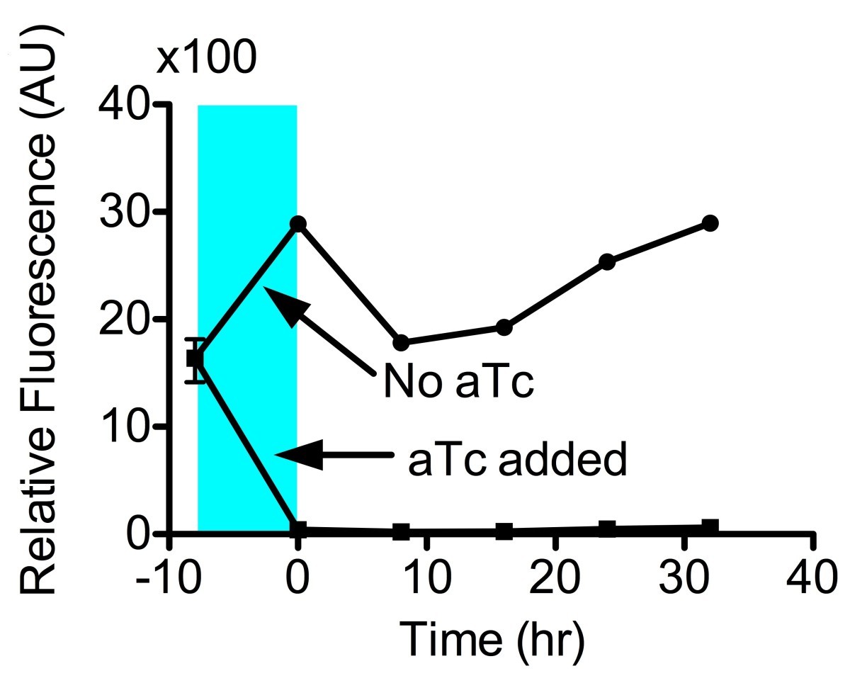 Figure 7