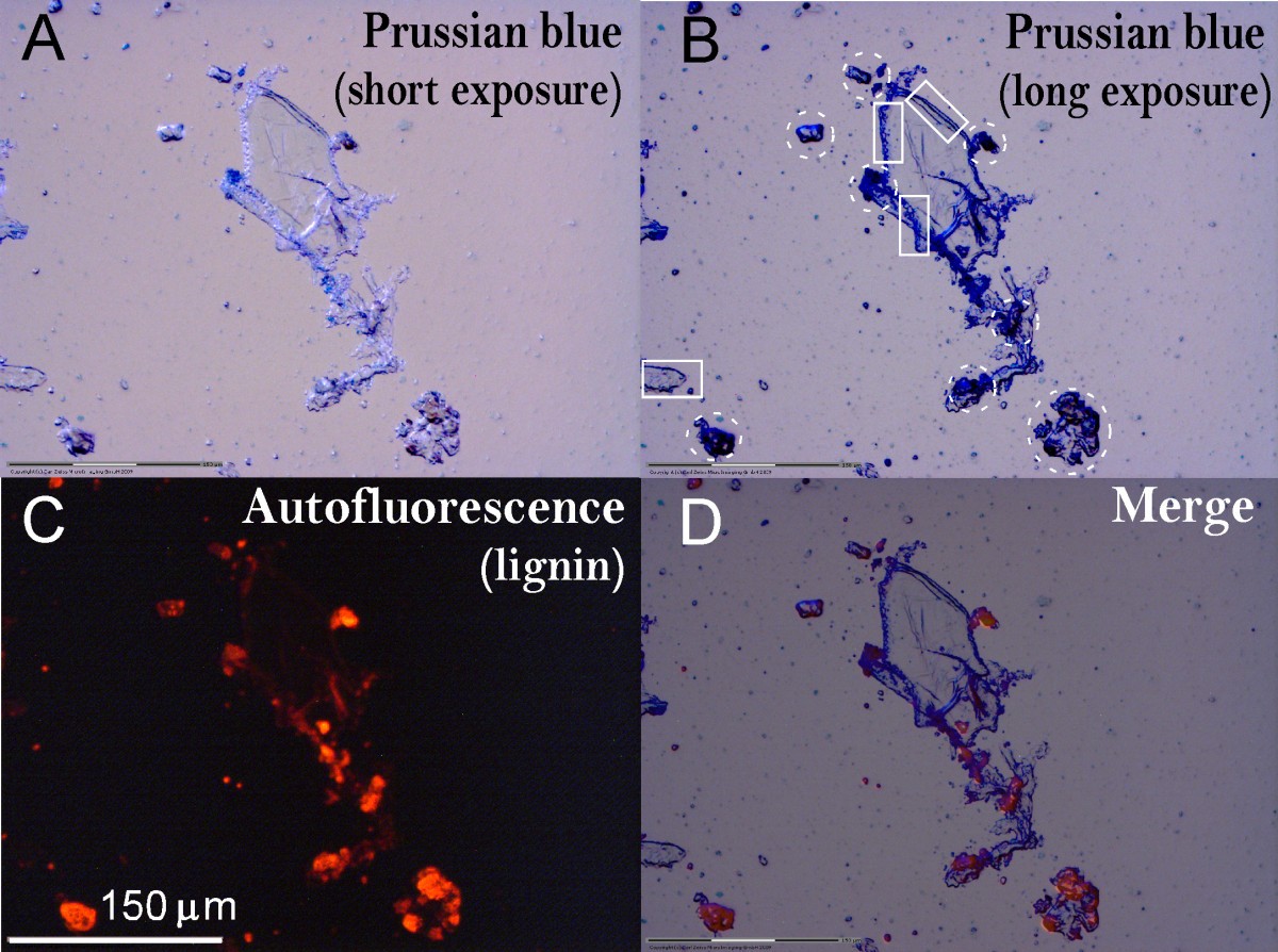 Figure 7