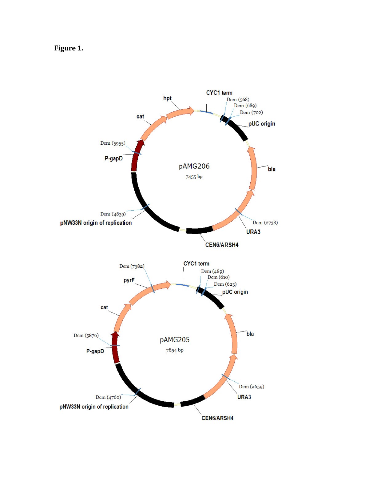 Figure 1