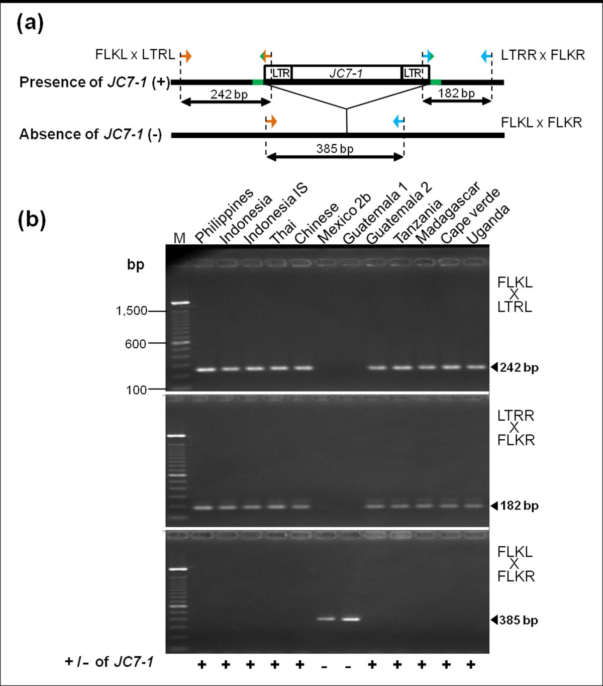 Figure 7