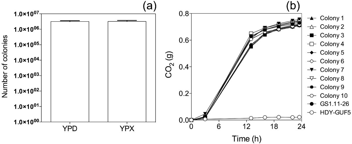 Figure 13