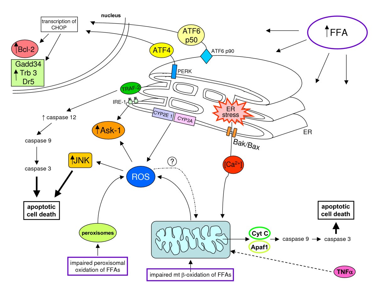 Figure 25