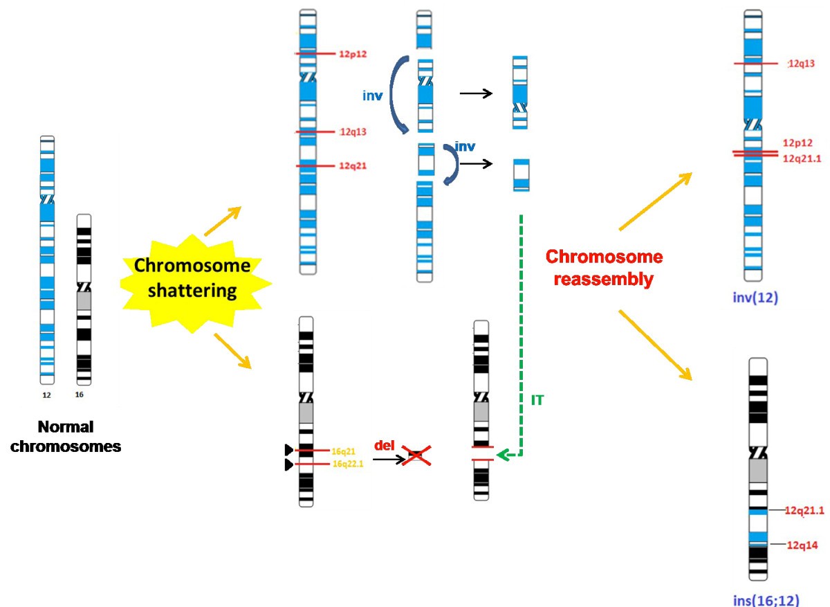 Figure 7