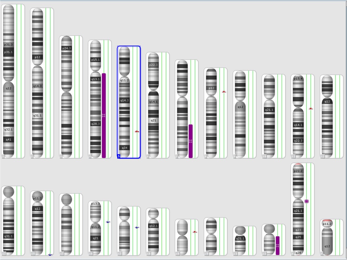 Figure 5