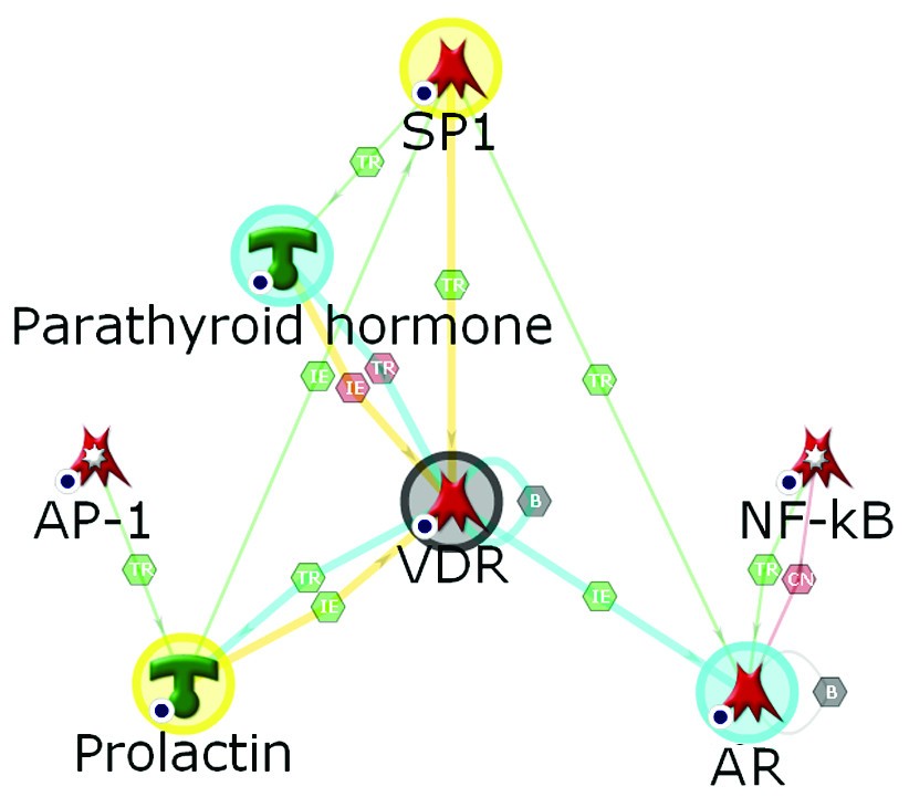 Figure 5