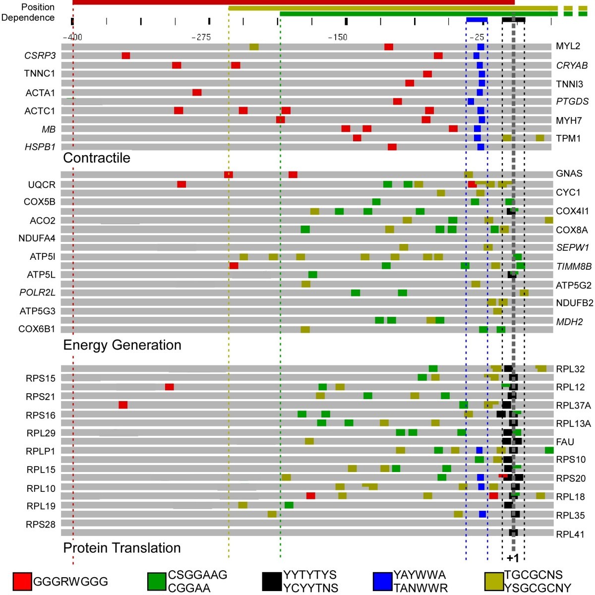Identification Of Gene Coregulatory Modules And Associated Cis Identification Of Gene Coregulatory Modules And Associated Cis