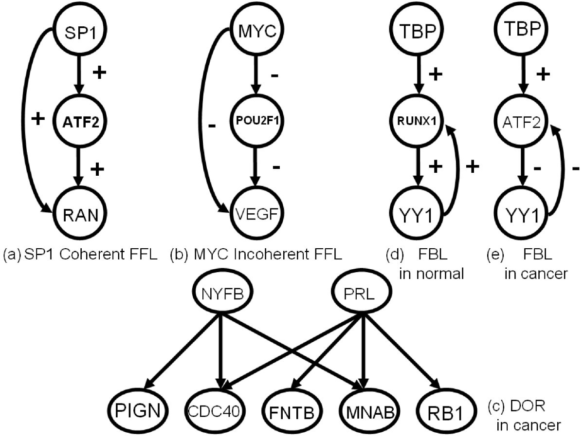 Figure 14