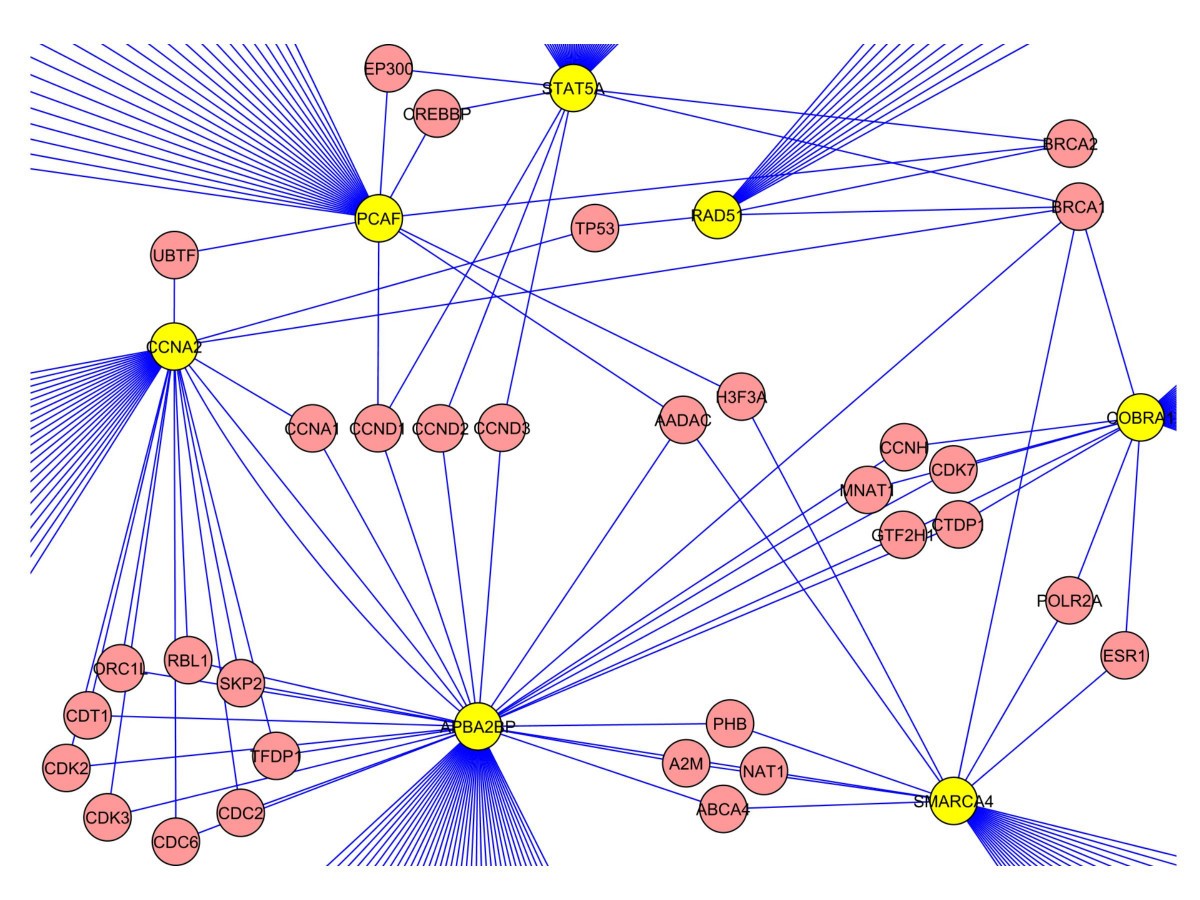 Figure 5