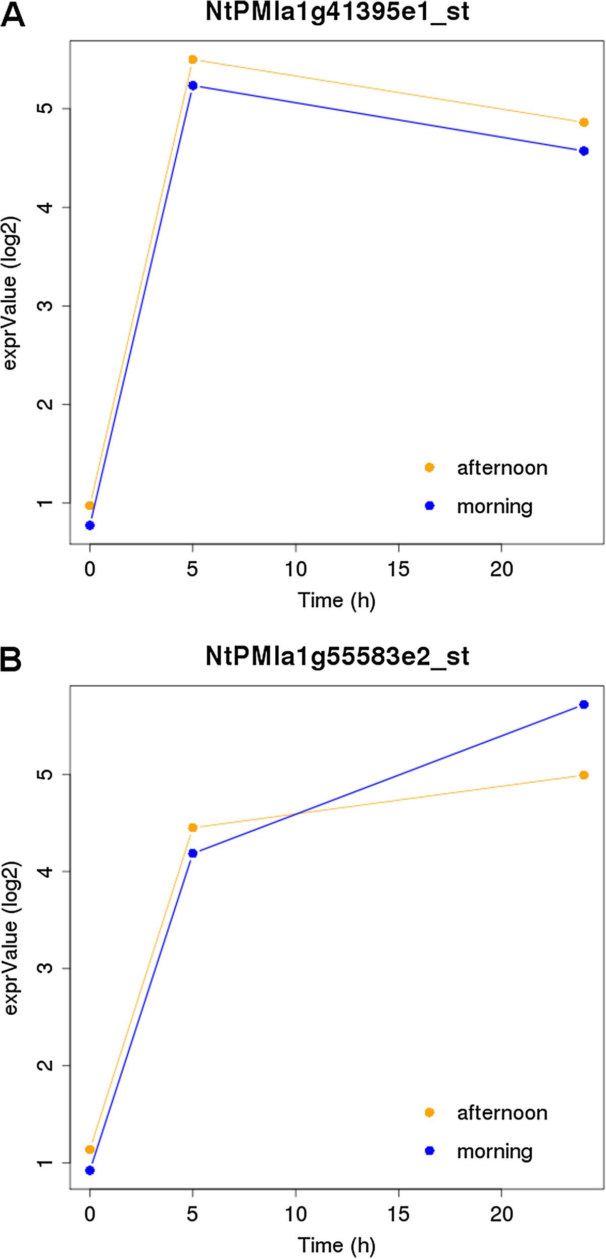 Figure 5