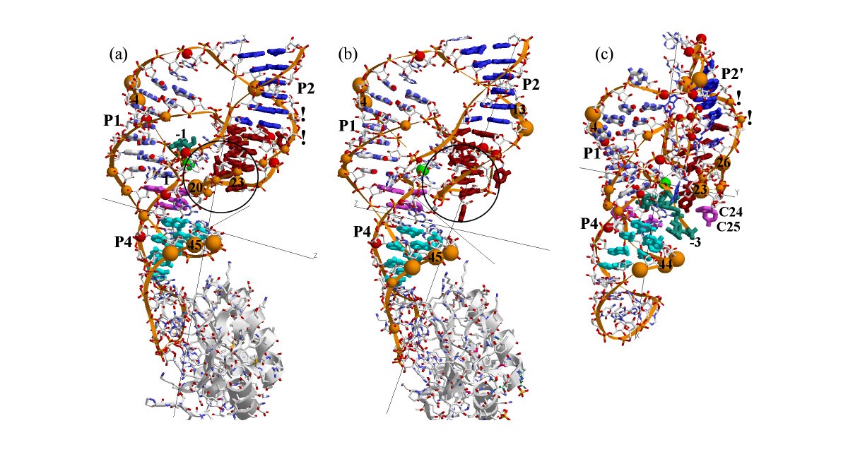 Figure 5