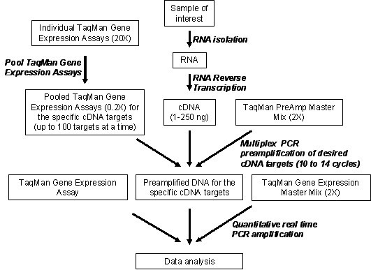 lidenskabelig velsignelse Machu Picchu Multiplex preamplification of specific cDNA targets prior to gene expression  analysis by TaqMan Arrays | BMC Research Notes | Full Text