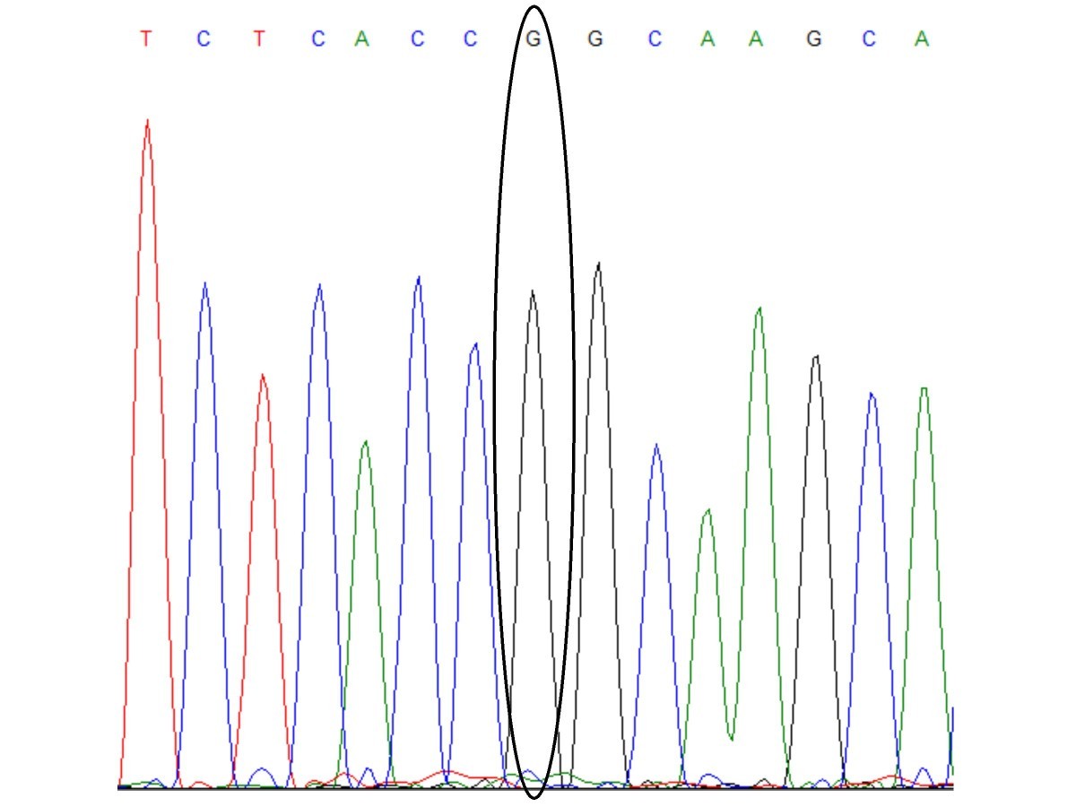 Figure 1