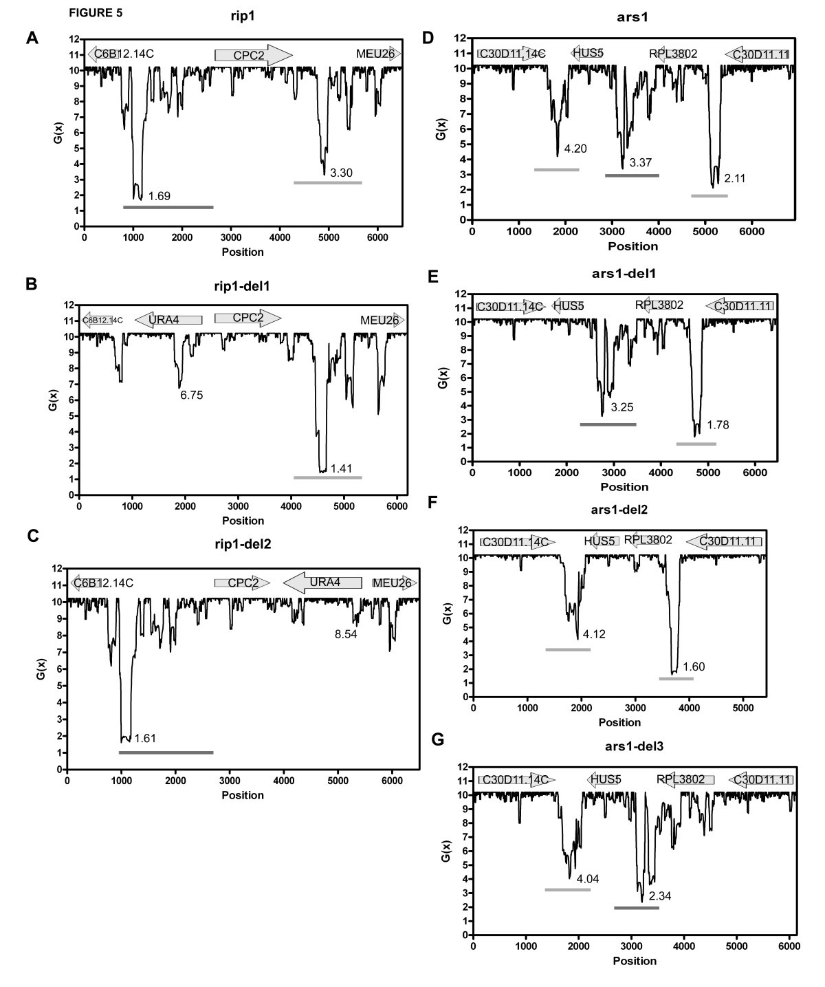 Figure 5