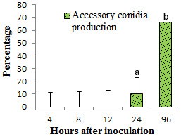 Figure 7