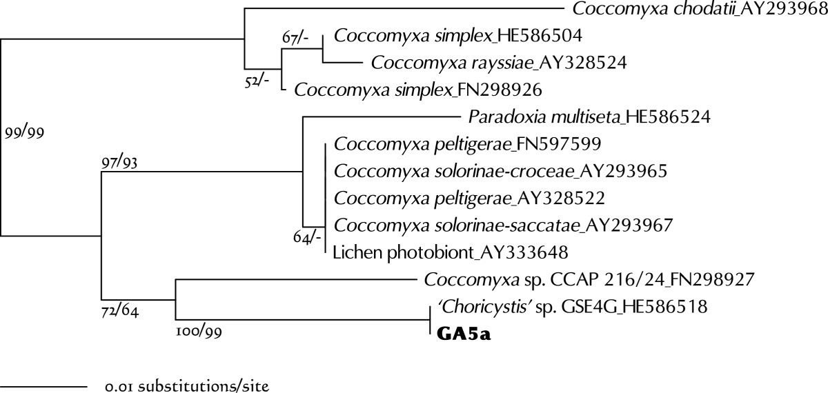 Figure 11