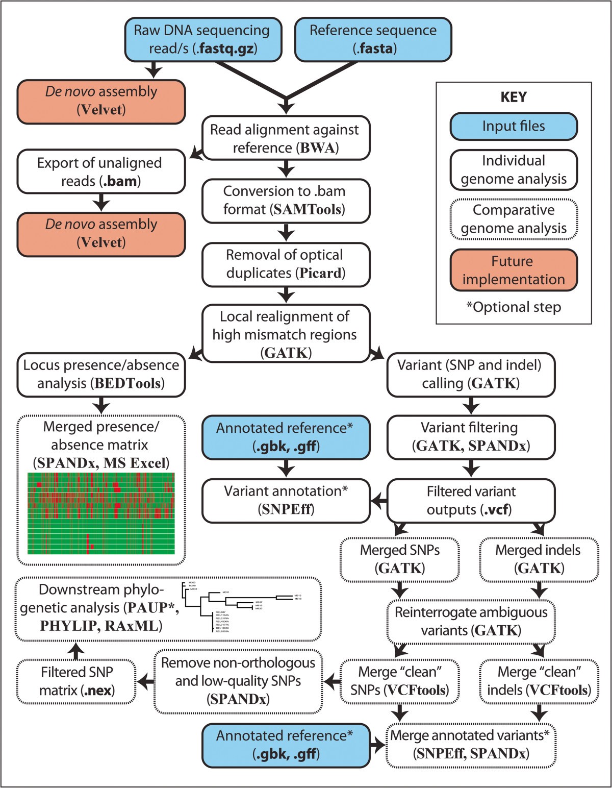 Figure 1