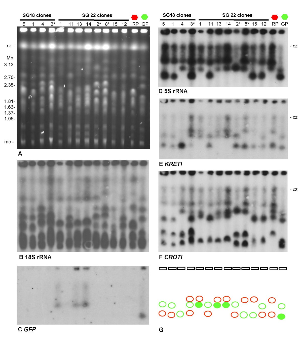 Figure 5