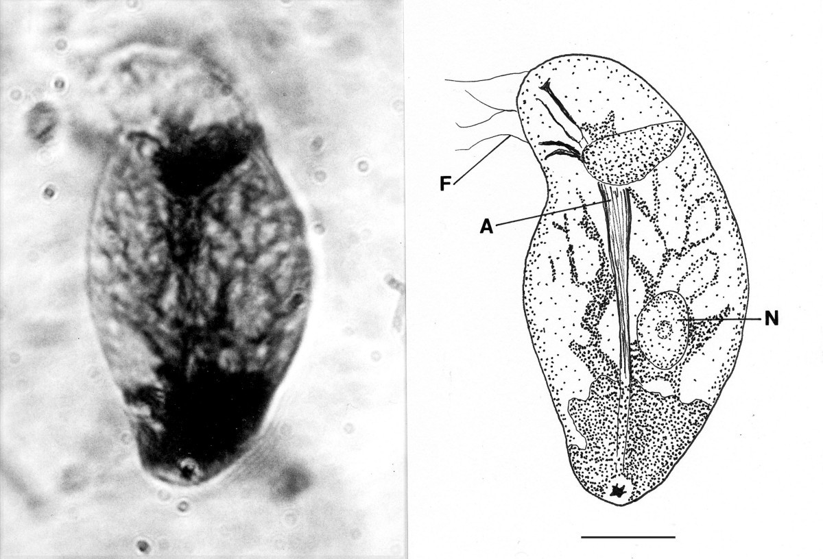 Figure 14