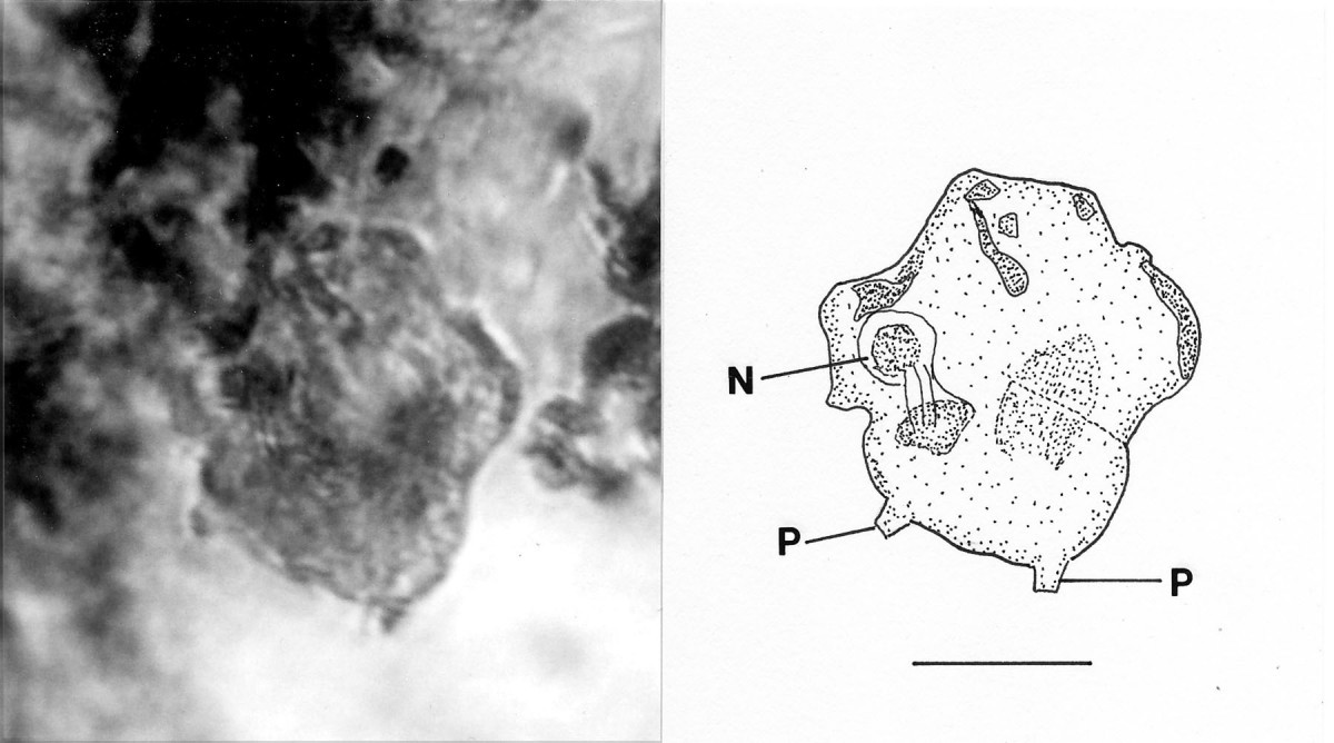 Figure 17