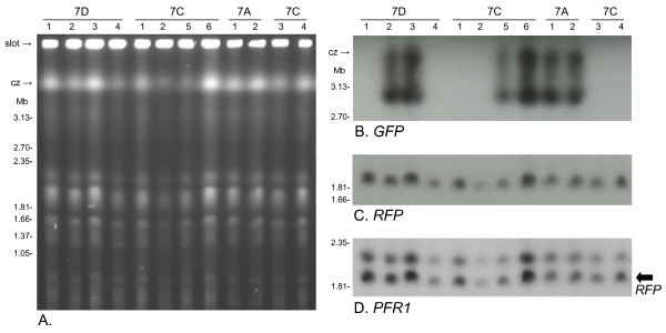 Figure 6