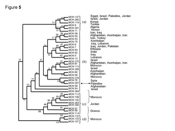 Figure 5