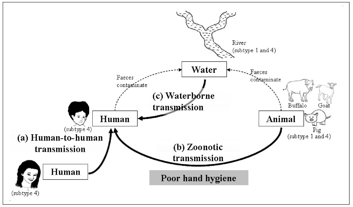 Figure 2