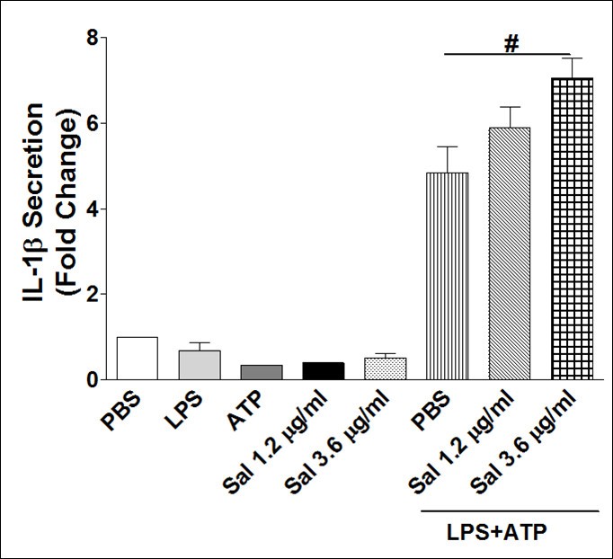 Figure 5