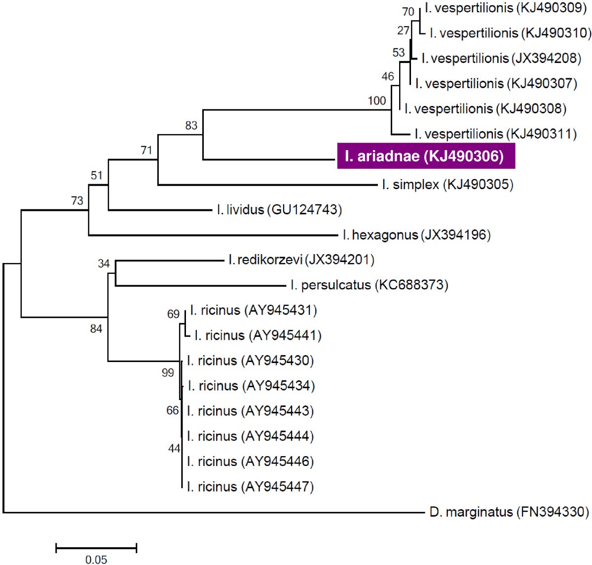 Figure 2