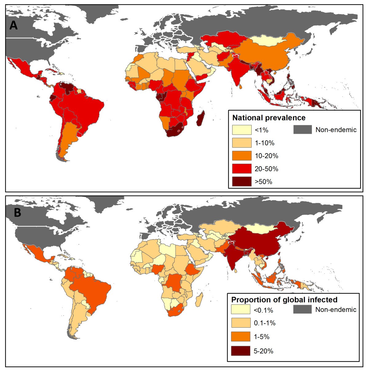 Helminth disease burden Trichuriaza - Wikipedia
