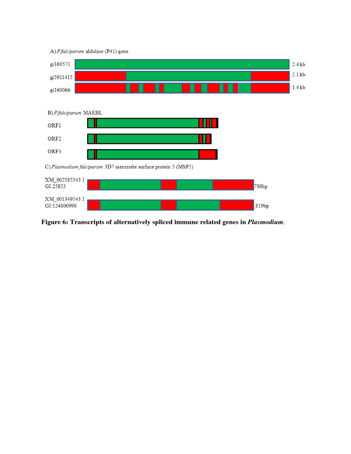 Figure 6