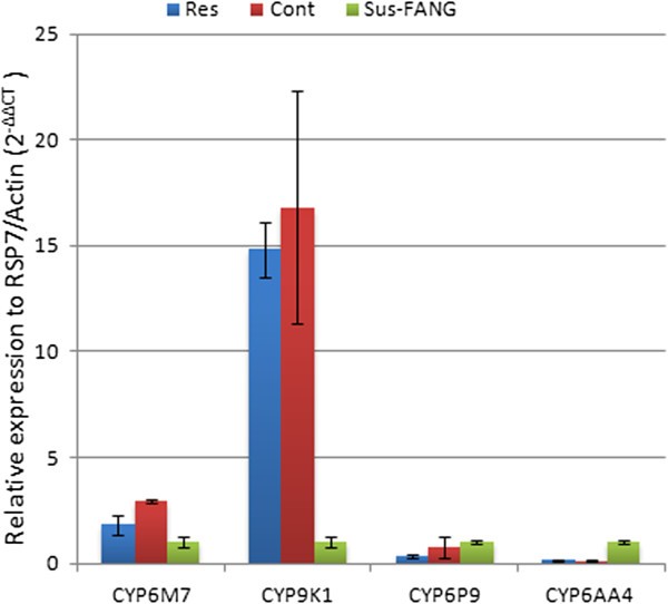 Figure 4