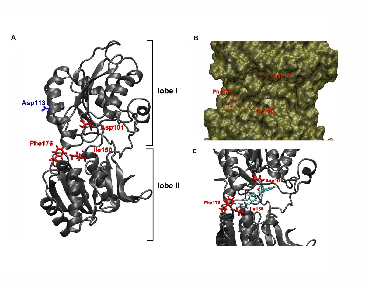 Figure 6