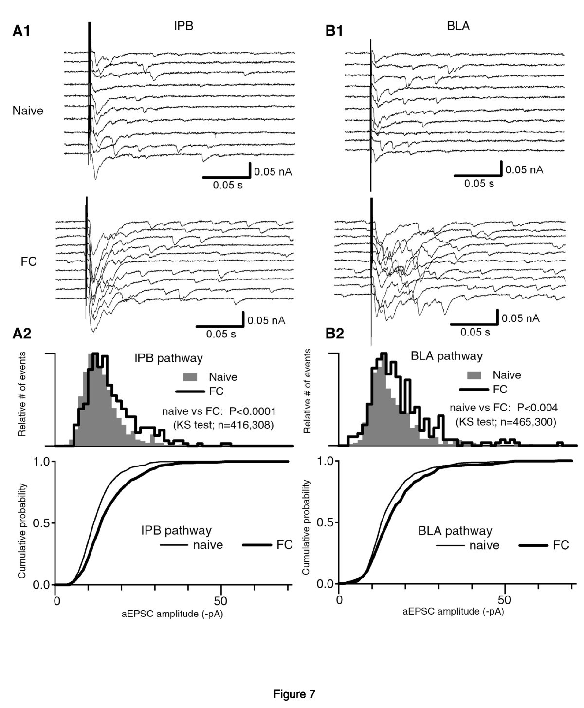 Figure 7