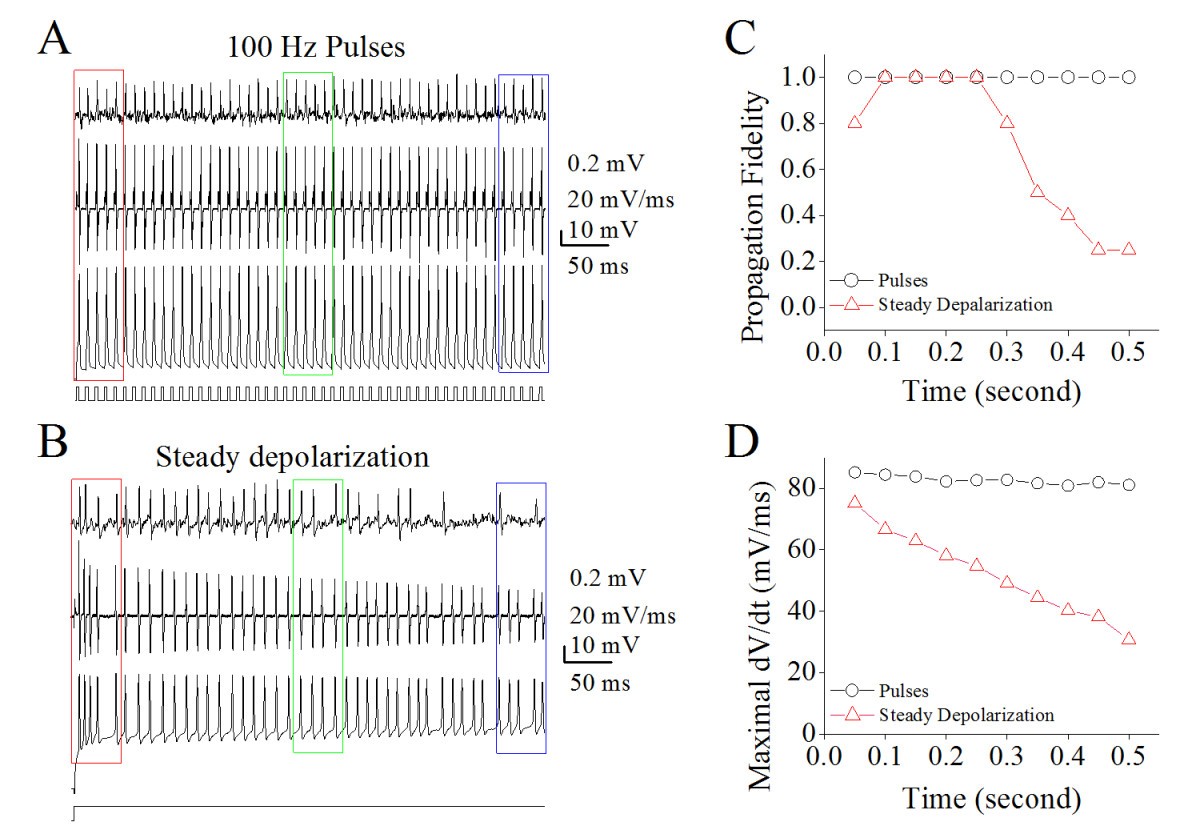 Figure 10