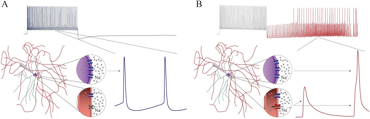 Figure 11