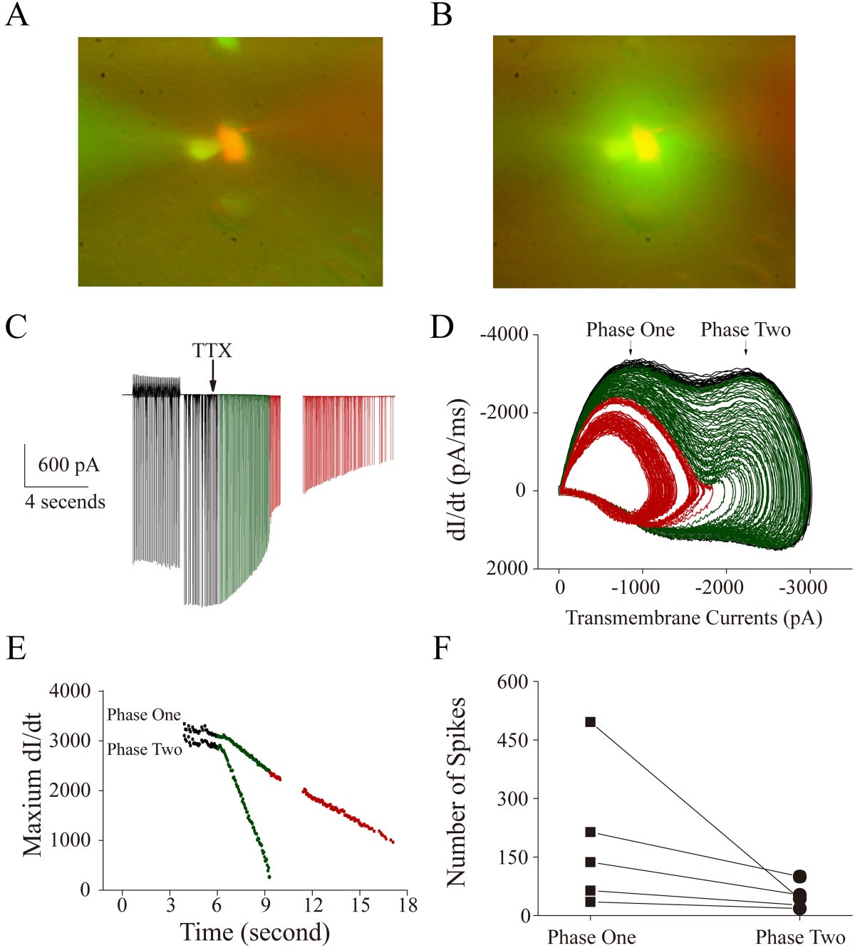 Figure 6