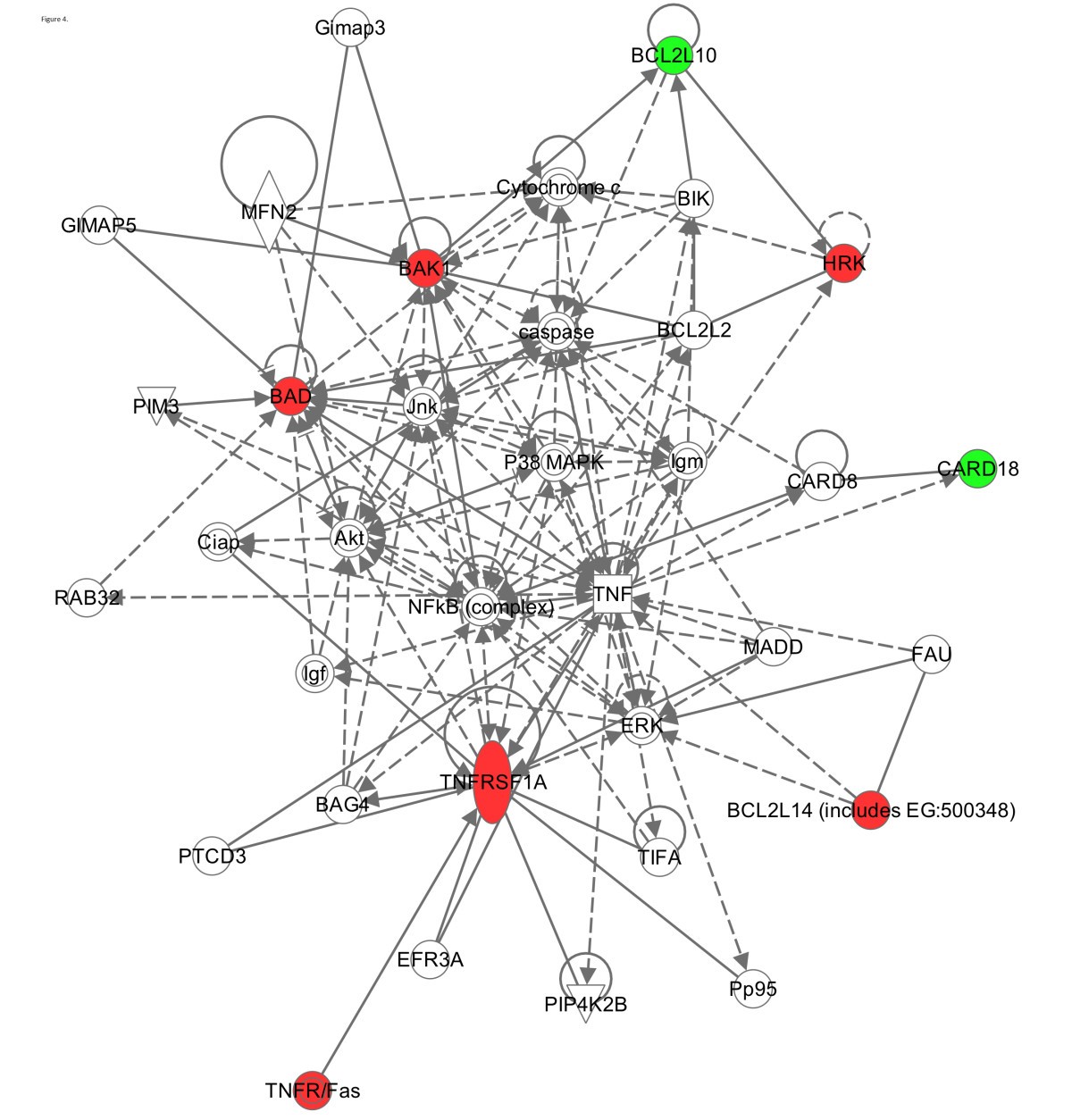 Figure 4