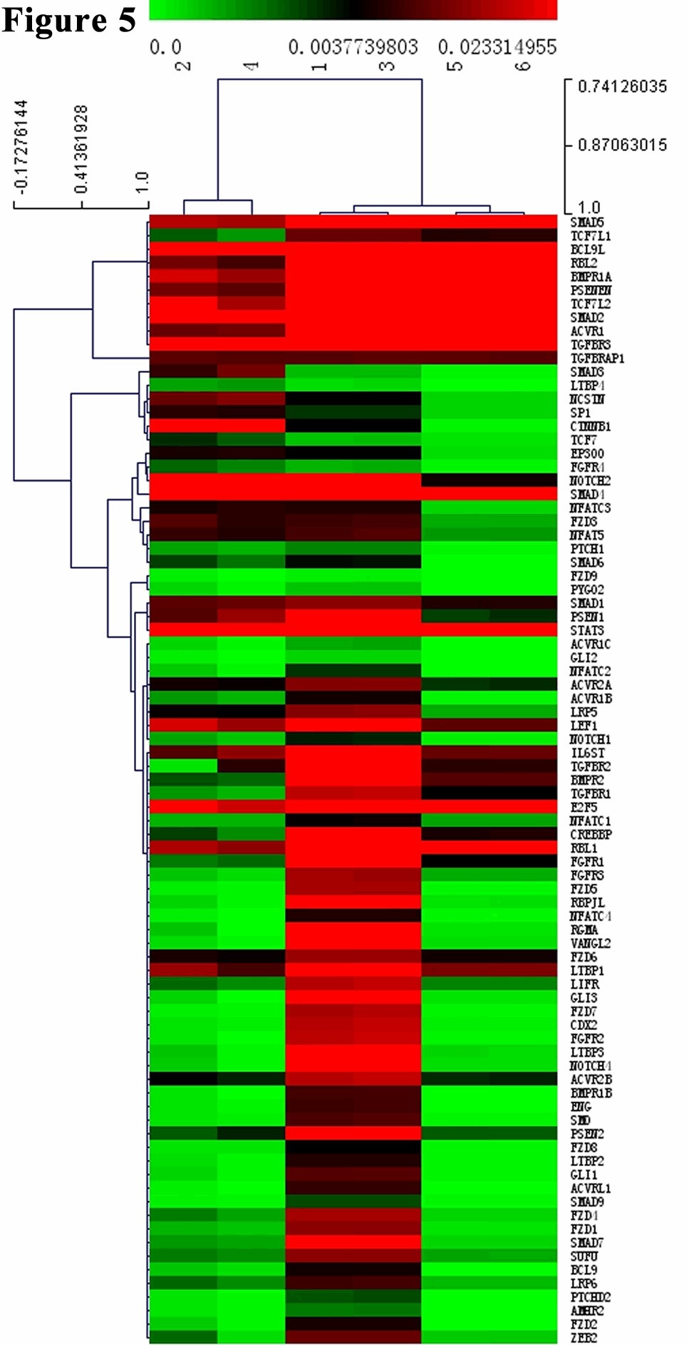 Figure 5