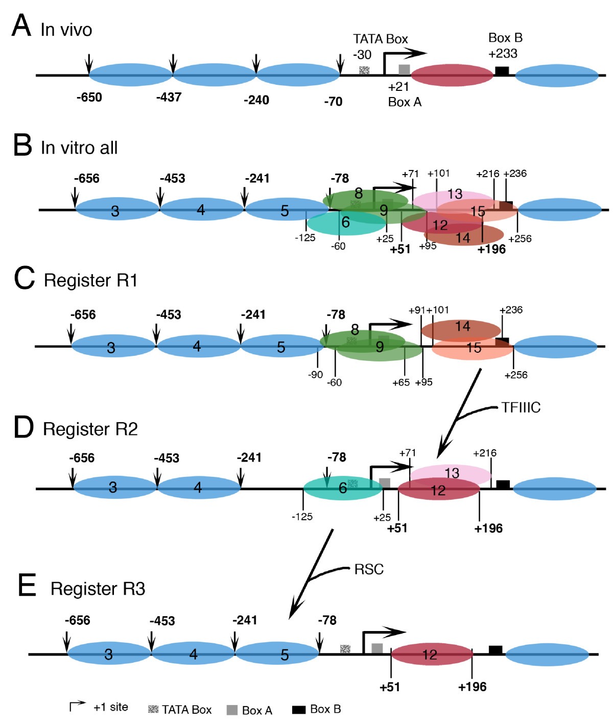 Figure 7