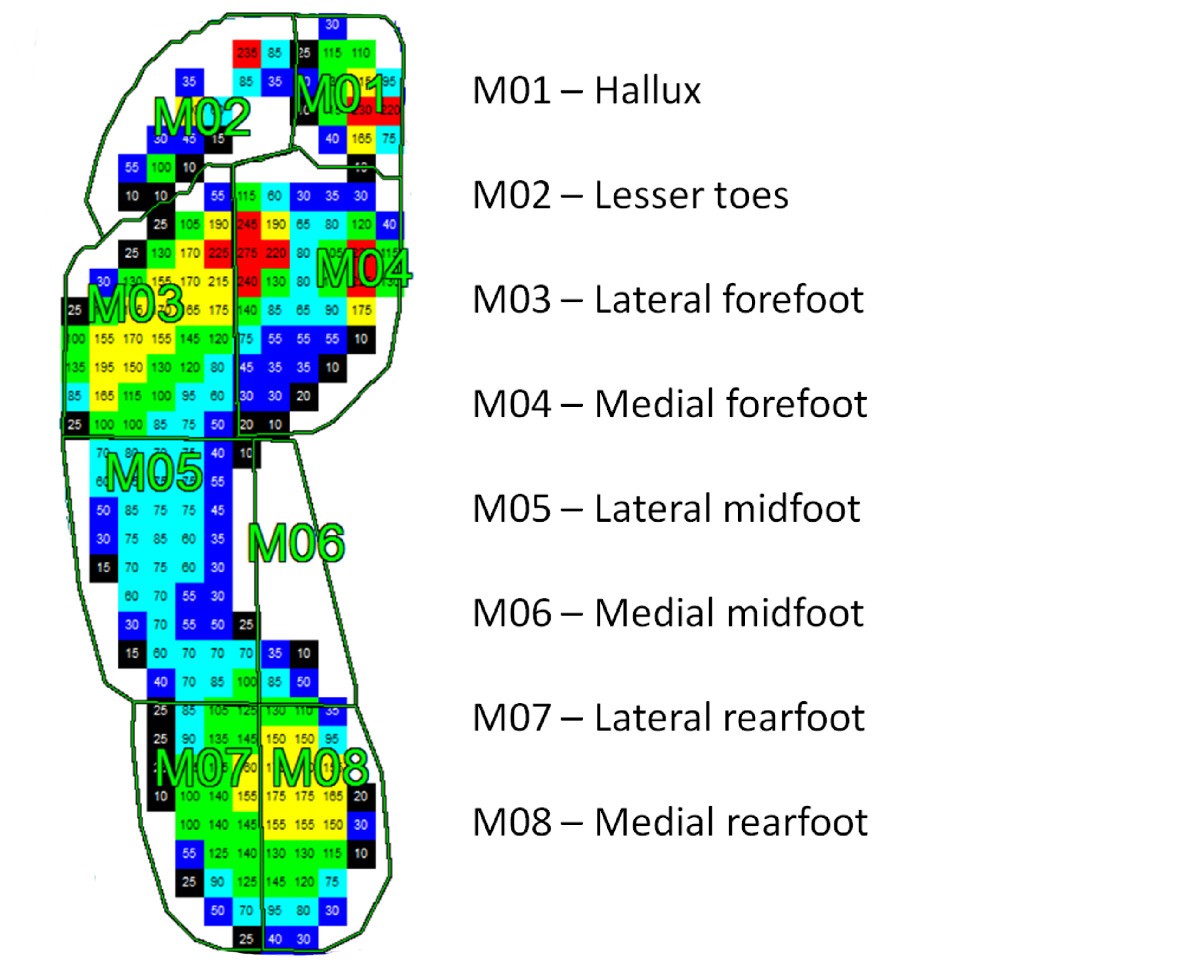 Hallux valgus and plantar pressure loading: the Framingham foot study | Journal of ...1200 x 961