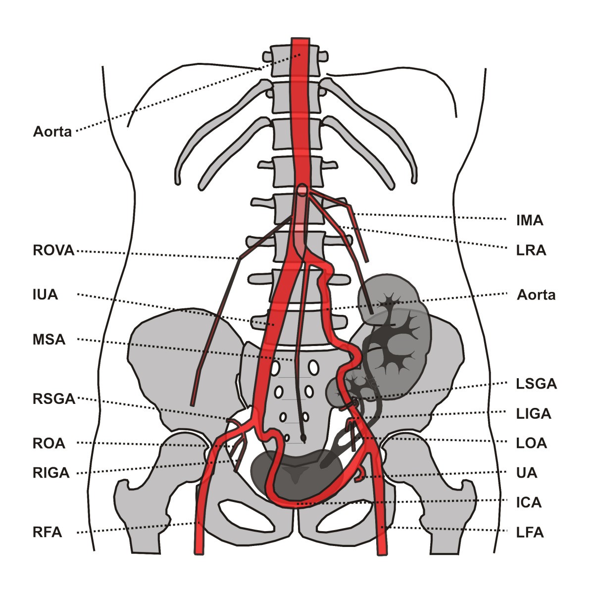 Figure 9